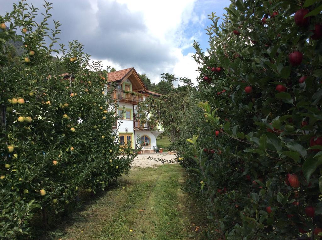 Agriturismo Maso Tafol Villa Cloz Kültér fotó