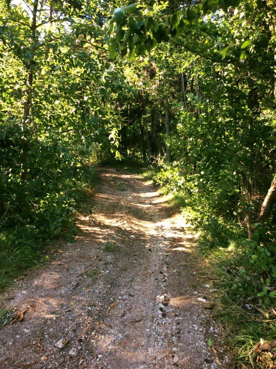 Agriturismo Maso Tafol Villa Cloz Kültér fotó